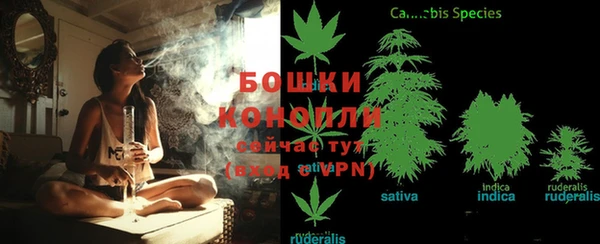 трава Медногорск