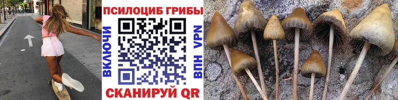 Галлюциногенные грибы прущие грибы  Устюжна 